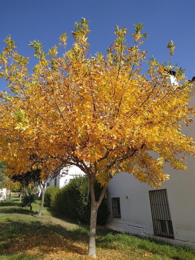 La Casa De Elias Villa Aracena Kültér fotó